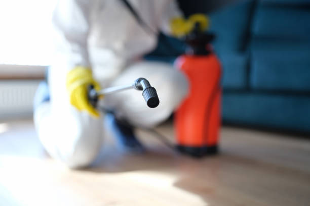 Best Comprehensive Air Testing for Mold Contaminants  in Camp Wood, TX