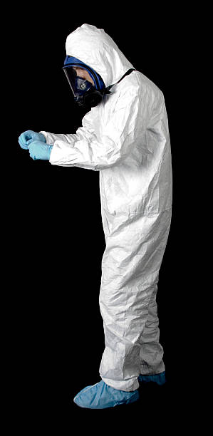 Best Mold Damage Restoration  in Camp Wood, TX